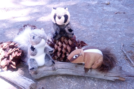 Cuyamaca Gift store item